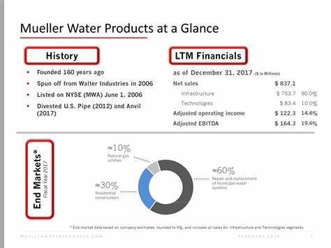 Should You Consider Adding Mueller Water Products (MWA) to Your Portfolio?