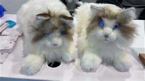 I Bought a Robot Cat for My Rabbit