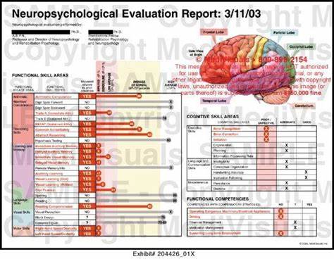 Clinical and Neuropathological Evaluations of the NB Neurological Syndrome