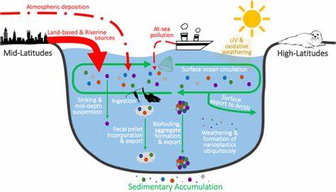 The distribution of subsurface microplastics in the ocean