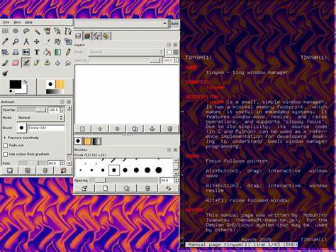 TinyWM – The tiniest (X11) window manager