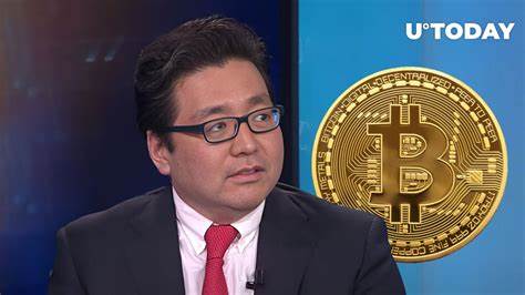 ‘Best-Performing Asset This Year’: Tom Lee Doubles Down on Bitcoin’s Ascent - Bitcoin.com News