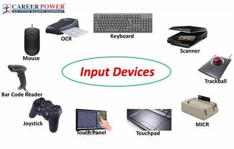 Input | Output (IO): Input | Output Partners with Brave to Integrate Cardano into Brave Wallet