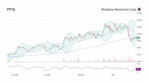 Perpetua Resources Corp. (PPTA): Among Billionaire John Paulson’s Stocks with Huge Upside Potential