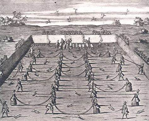 Fox Tossing