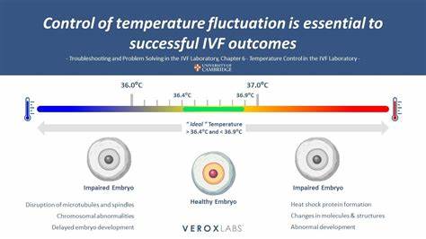 Temperature-controlled switch activates sperm, is key to fertility
