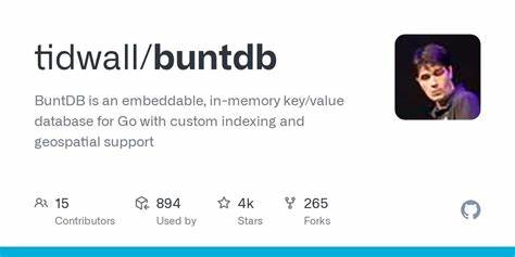 BuntDB – A fast, embeddable, in-memory key/value database for Go