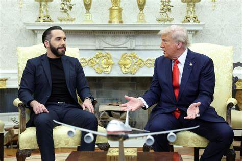 Donald Trump’s advisor Bo Hines meets Nayib Bukele as US eyes El Salvador’s Bitcoin strategy