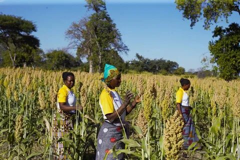 The role of NBFCs, MFIs in empowering rural women entrepreneurs in supporting agricultural ventures