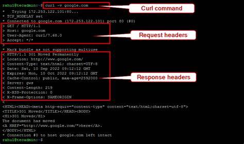Show HN: curlmin – Curl Request Minimizer