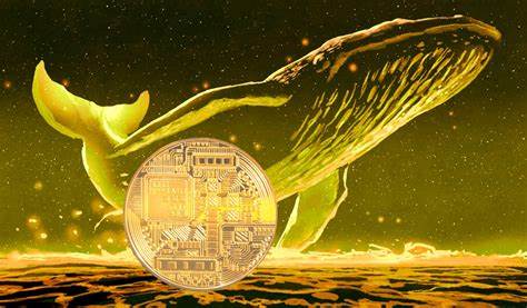 Crypto Whales are Accumulating These 3 Altcoins NOW - Altcoin Buzz