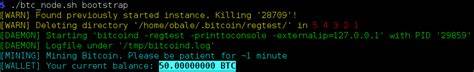 Sigimera/bitcoin-regtest-node