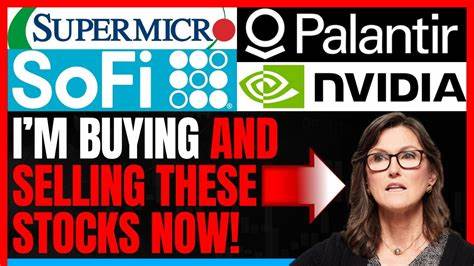 Cathie Wood Is Selling Palantir Stock. Should You?