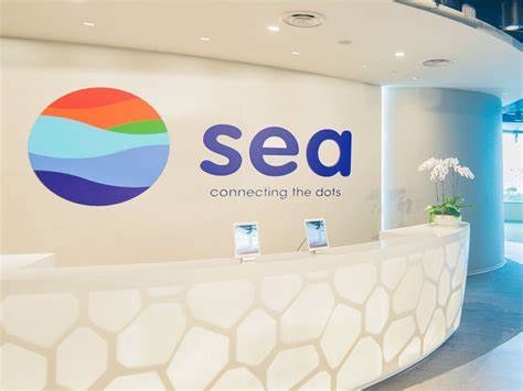 Sea shares hit highest point in three years after it records $410.8 million in quarterly profit