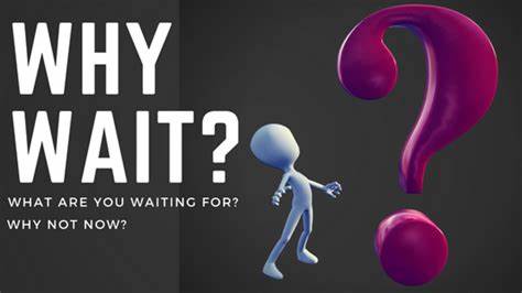 Why did we wait so long for the bicycle? (2019)