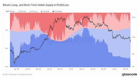 Large hodlers accumulate Bitcoin below $50K as BTC transactions over $1M soar - Cointelegraph