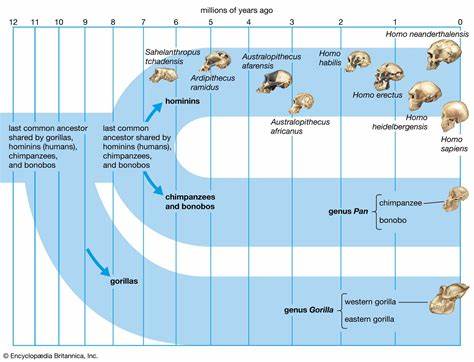 DNA Studies Uncover Unexpected Evolutionary Changes in Modern Humans