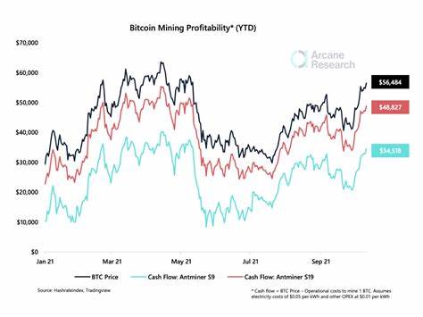 Market Wrap: Bitcoin Drops as Indicators Show Extreme Optimism - CoinDesk