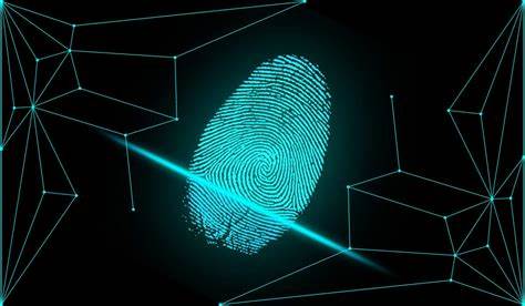 Nexo arbeitet mit Sift zusammen, um den Schutz vor Betrug bei digitalen Vermögenswerten zu verbessern – Security Bitcoin News – Bitcoin.com News
