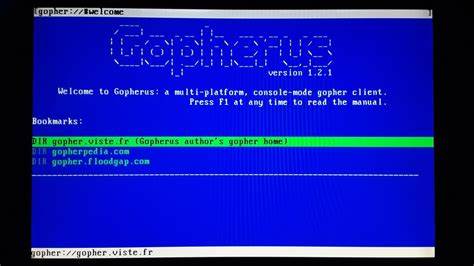 Gophyr: Building a Gopher Client for Zephyr with Claude