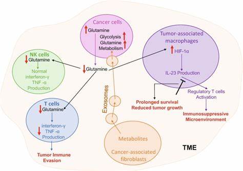 New Study Confirms That Cancer Cells Ferment Glutamine [video]