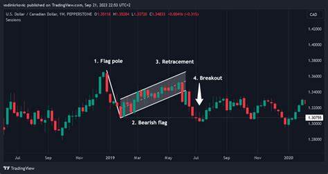 Options Market Signals Bullish Impetus on AMD Stock