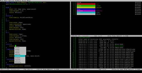 Buy into the Emacs Platform (2018)