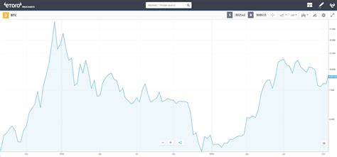 Bitcoin Value Fluctuates Over Time - eToro