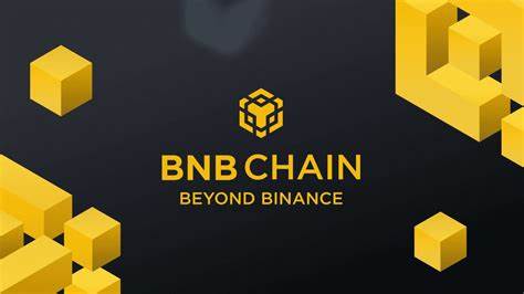 Binance Rebrands Its Blockchain in Overture to Decentralization - Blockworks