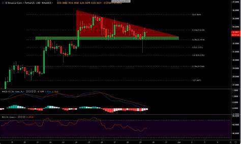 BNB Price Analysis: Bearish Outlook Looms Despite Recent Surge