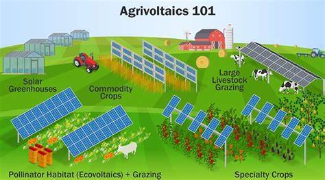 There Is One Clear Winner in the Corn vs. Solar Battle