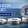 Maple Finance & FalconX Land Bitcoin-Backed Loans from Cantor: Full Report!