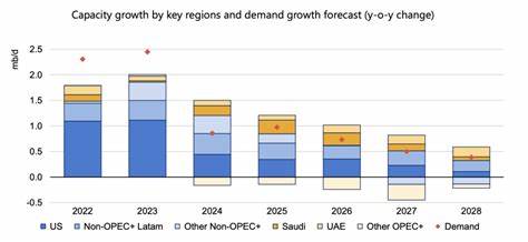 Oil demand growth set to slow for remainder of 2025: IEA