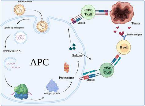 'A New Era' of Cancer Therapies