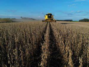 U.S. soybean exports risk 20% drop without improved China deal