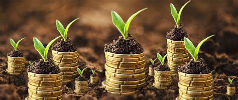 Examining the Confluence of Farming and Economics Through the Land Value Tax