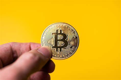 9 Weird things you can buy with Bitcoin - BTC Wires