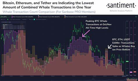 Bitcoin And Ethereum Whale Transactions Drop, What Will Happen To The Crypto Market? - VOI English
