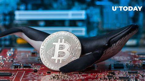 Ancient Bitcoin Whale Awakens After 10 Years of Dormancy: Details By U.Today - Investing.com