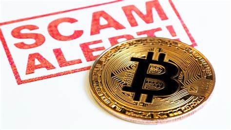 Nelson resident victim of cryptocurrency fraud instance worth $30,000