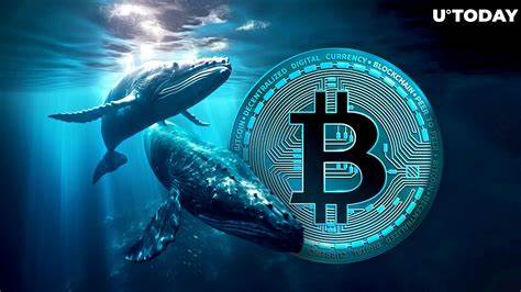  Bitcoin whales keep buying as BTC price dip targets include $94K 