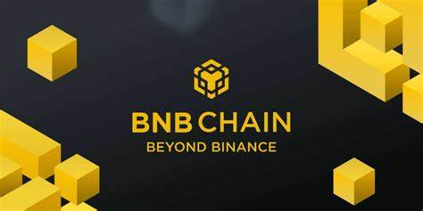 Binance’s BNB Chain rebounds amid institutional, DeFi adoption