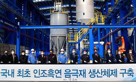 Posco to build graphite plant in South Korea