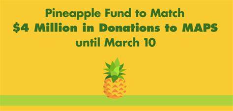 Bitcoin Mega-Philanthropist 'Pineapple' Talks About Psychedelic Research - Forbes