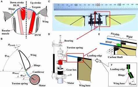 Biomimetic Flapping Mechanism for Insect Robots Driven by Indirect Muscles