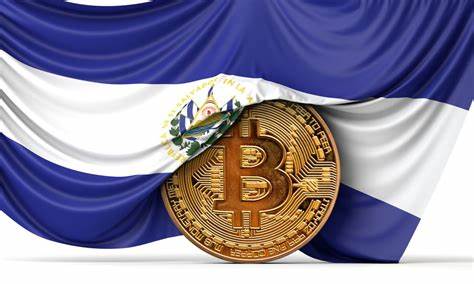 Bitcoin costs El Salvador $425 million with uncertain results