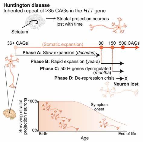 Reducing Huntington’s-related repeat expansions in patient cells and in mice
