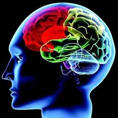 A new Pitt study has upended decades-old assumptions about brain plasticity