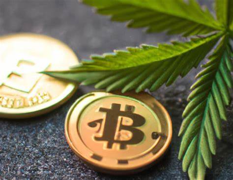 Whoops, using crypto and cannabis don’t mix after all - TechCrunch