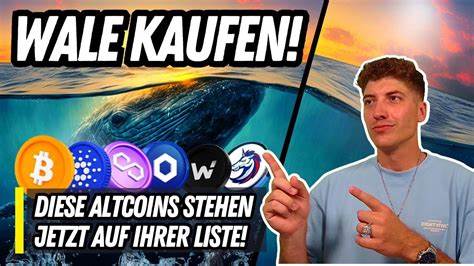 Darum setzen Wale derzeit auf diese 3 Altcoins